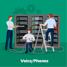 Voice Phones